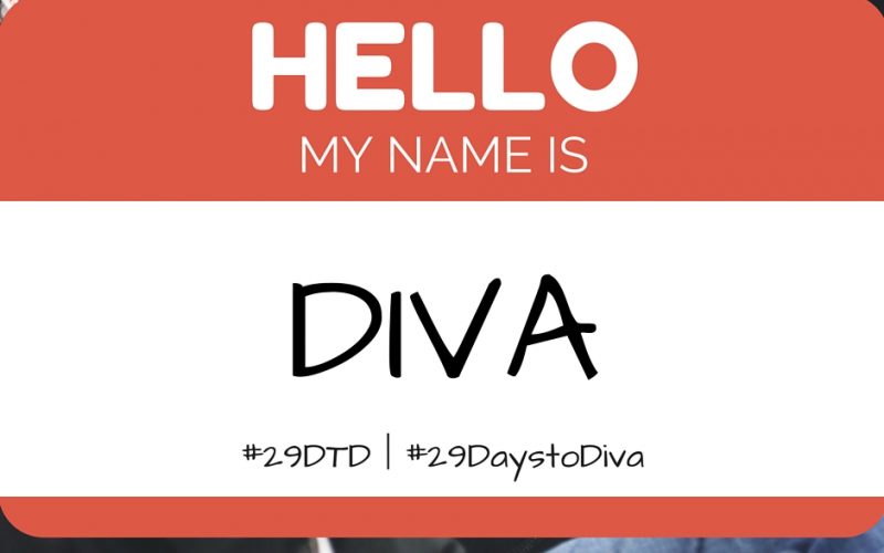 Your Day 19 Challenge of #29DaystoDiva is to Introduce Yourself to Someone New. | #29DTD | Sybaritic Singer | www.sybariticsinger.com