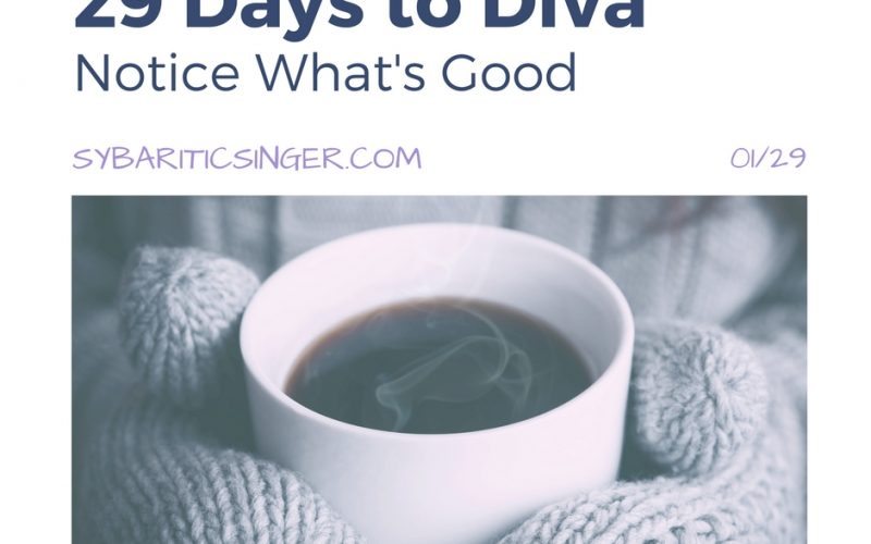 29 Days to Diva | Day 1 | The Sybaritic Singer | sybariticsinger.com