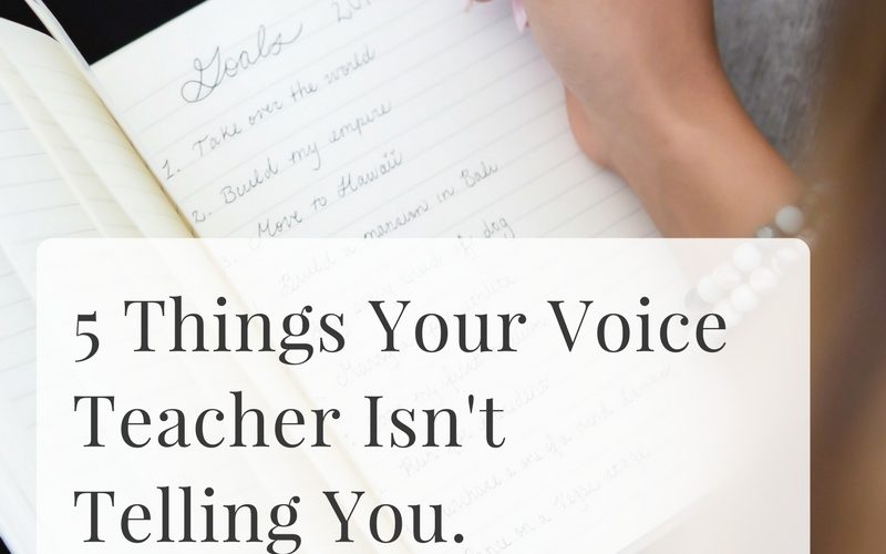 5 Things Your Voice Teacher Isn't Telling You | Sybaritic Singer